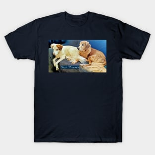 Dogs Best Friends T-Shirt